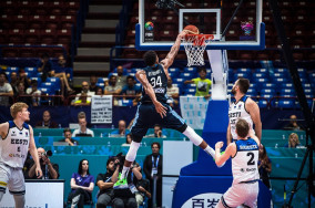 Giannis Antetokounmpo drops game-high 25 points vs Estonia but twists his ankle